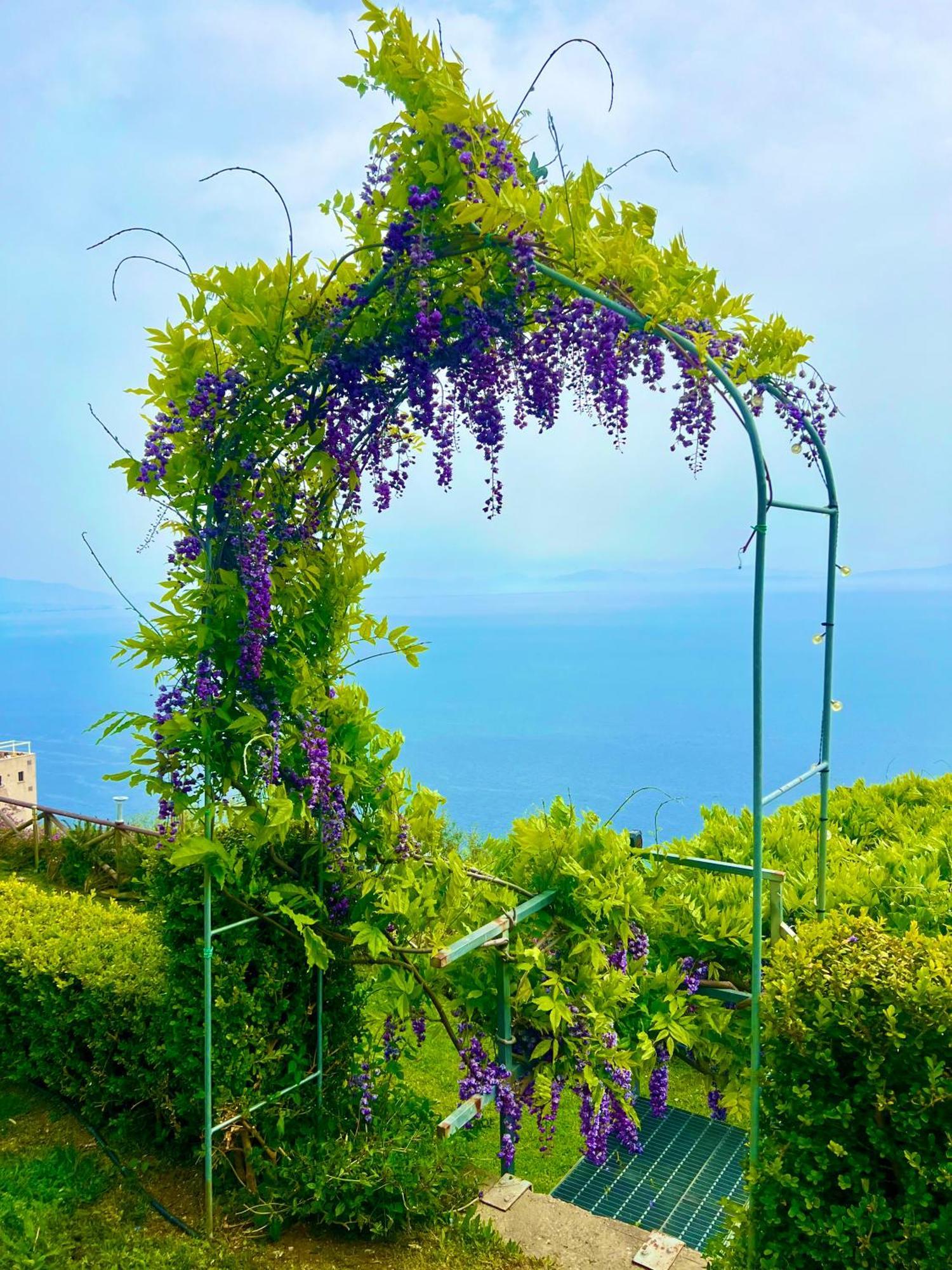 B&B Il Pavone Conca dei Marini Exteriér fotografie